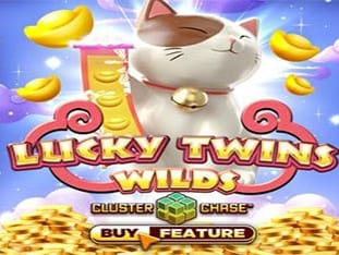 Lucky Twins Wilds game thumbnail